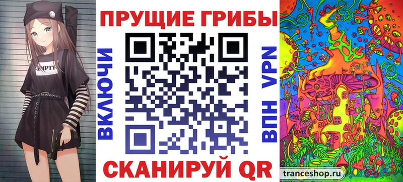 кракен рабочий сайт  Шарья  Псилоцибиновые грибы Cubensis 