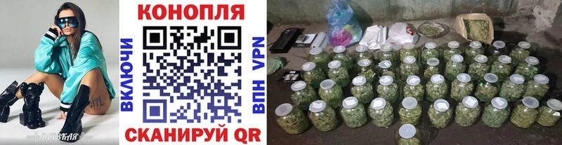omg как зайти  Шарья  Конопля OG Kush 